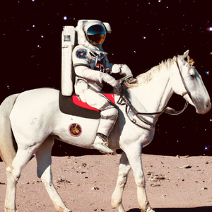 免费A片虐性视频
